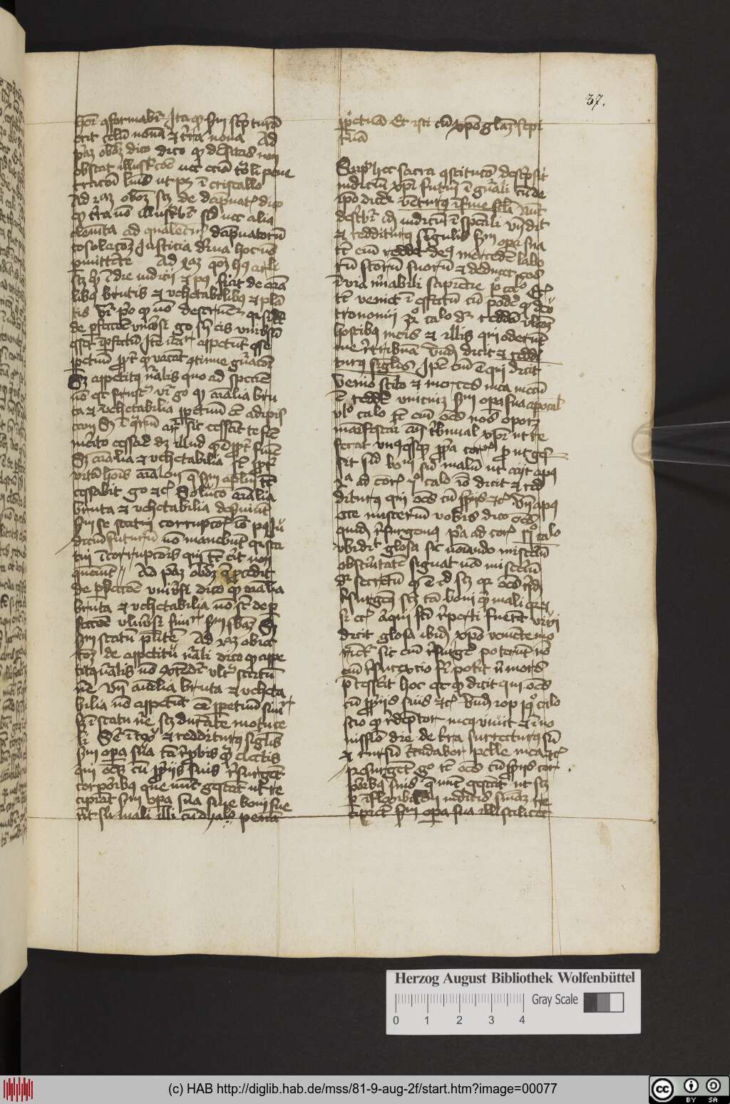 http://diglib.hab.de/mss/81-9-aug-2f/00077.jpg