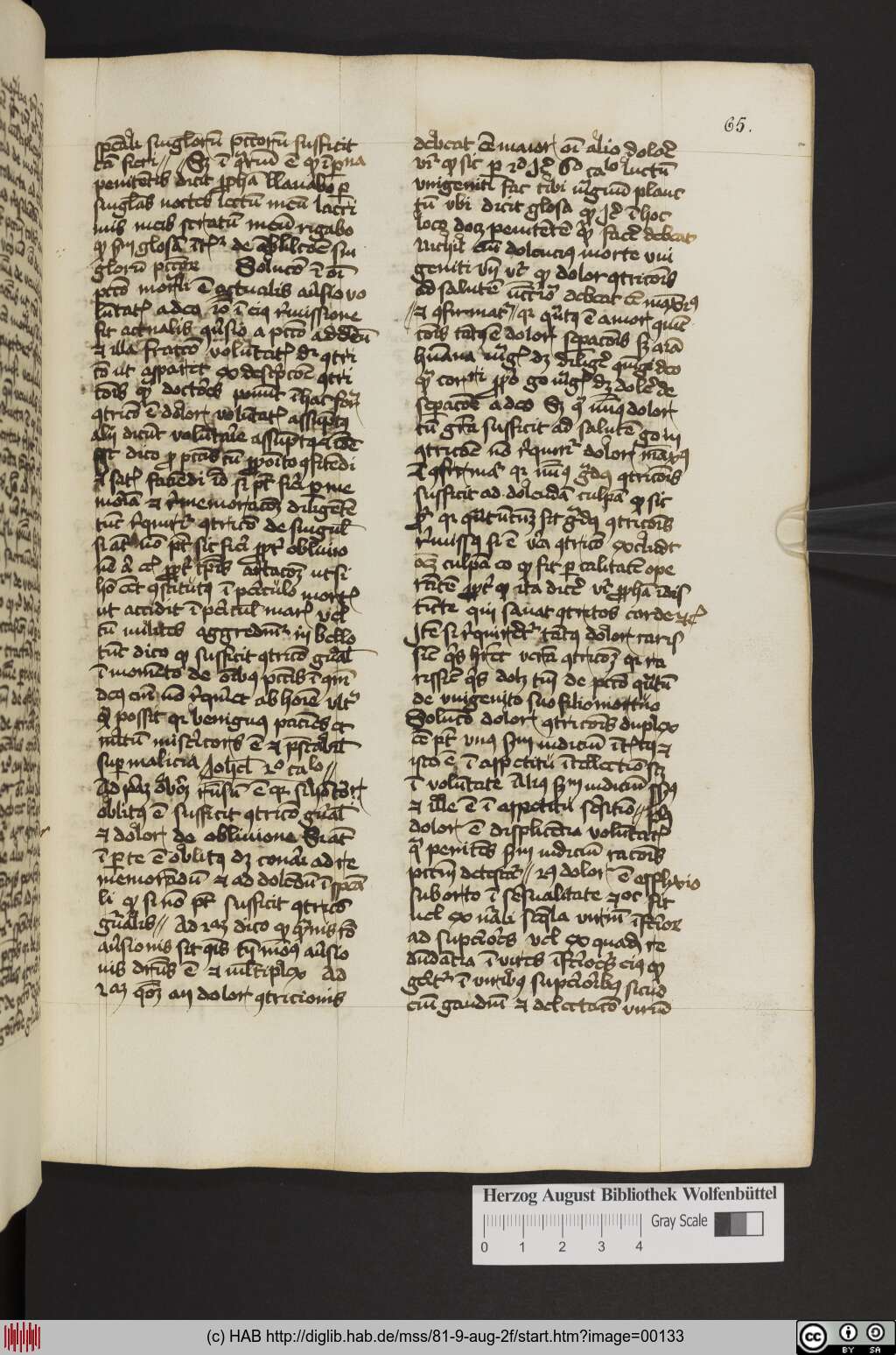 http://diglib.hab.de/mss/81-9-aug-2f/00133.jpg