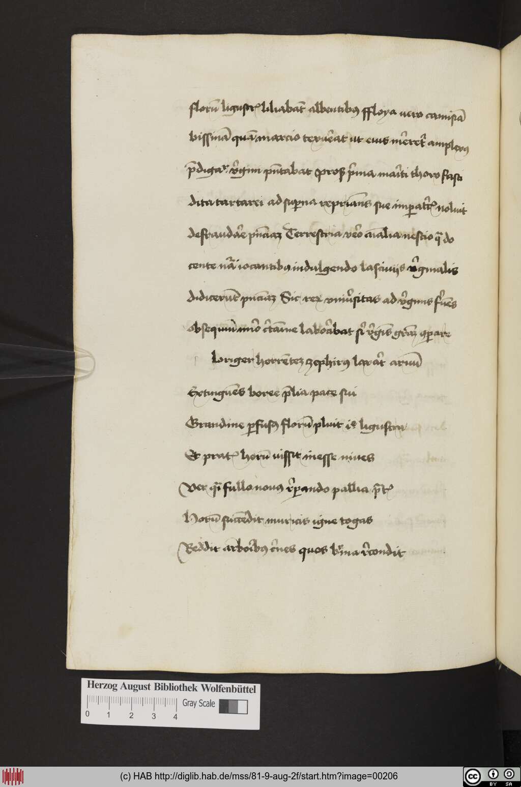 http://diglib.hab.de/mss/81-9-aug-2f/00206.jpg