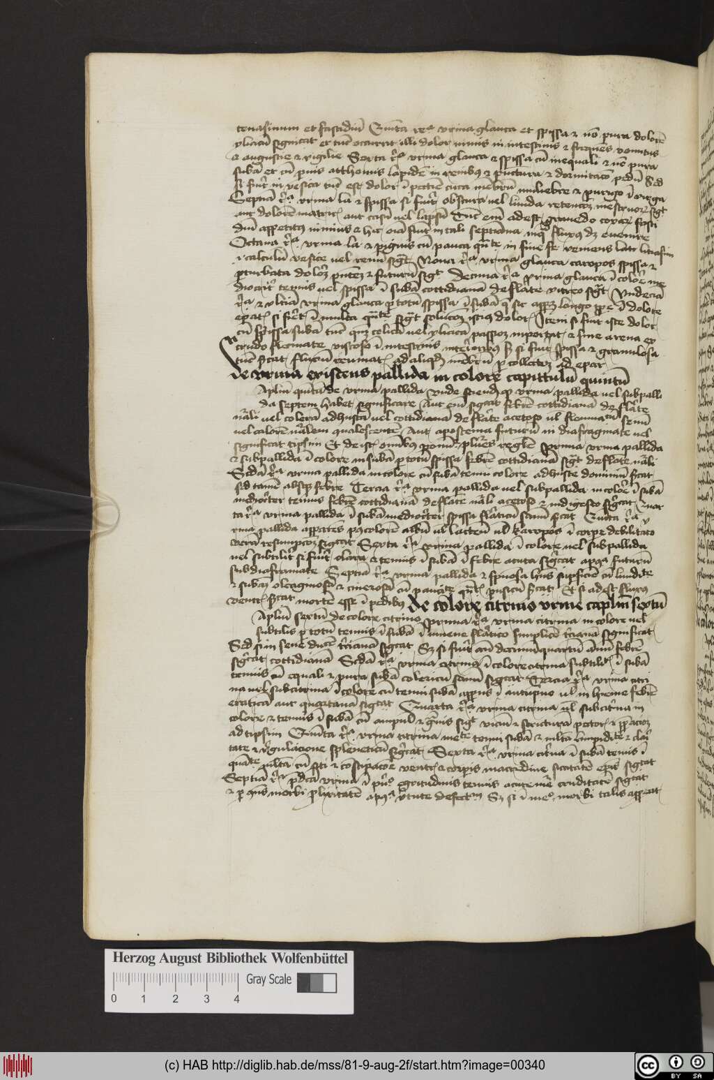 http://diglib.hab.de/mss/81-9-aug-2f/00340.jpg