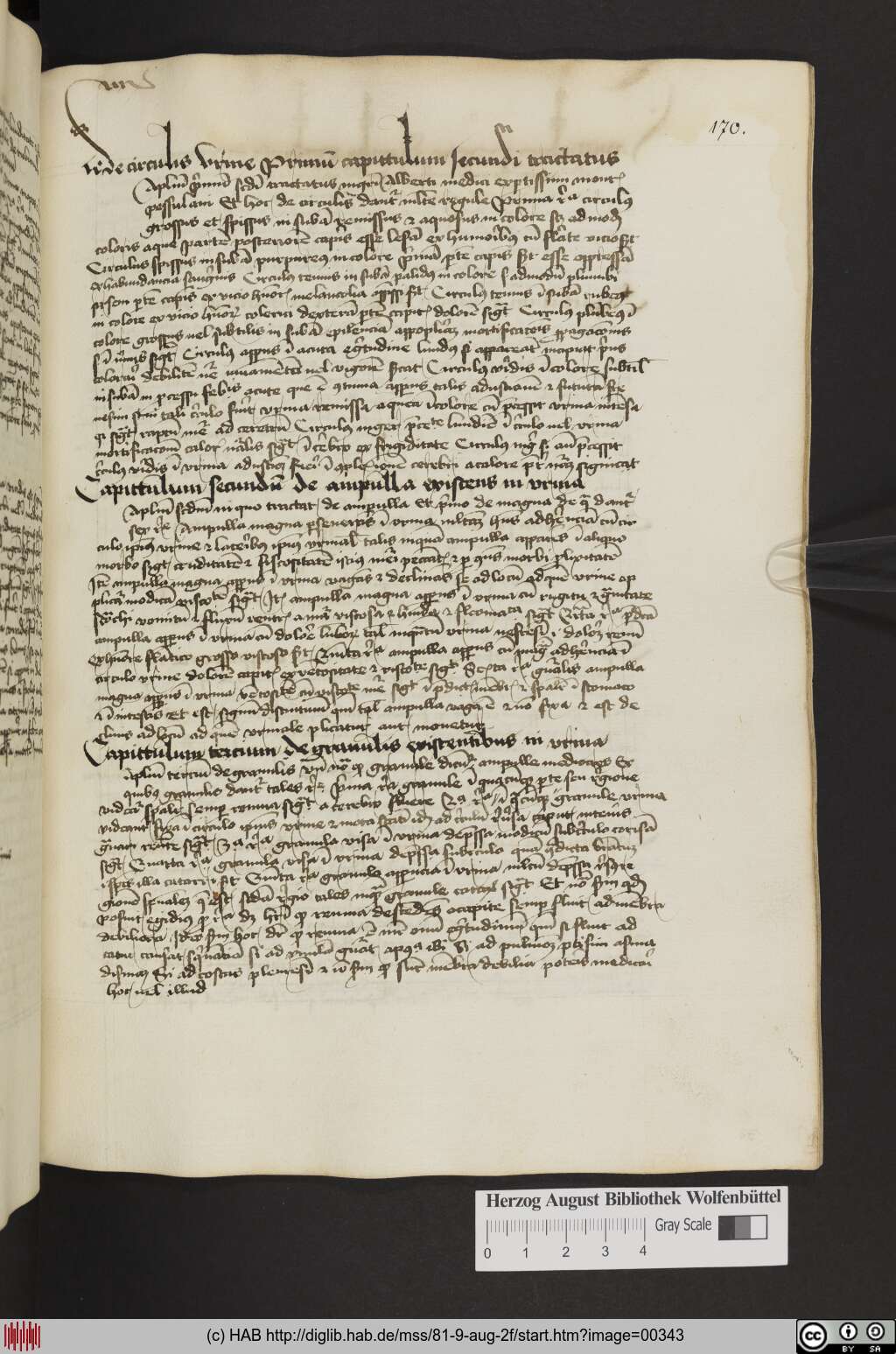 http://diglib.hab.de/mss/81-9-aug-2f/00343.jpg