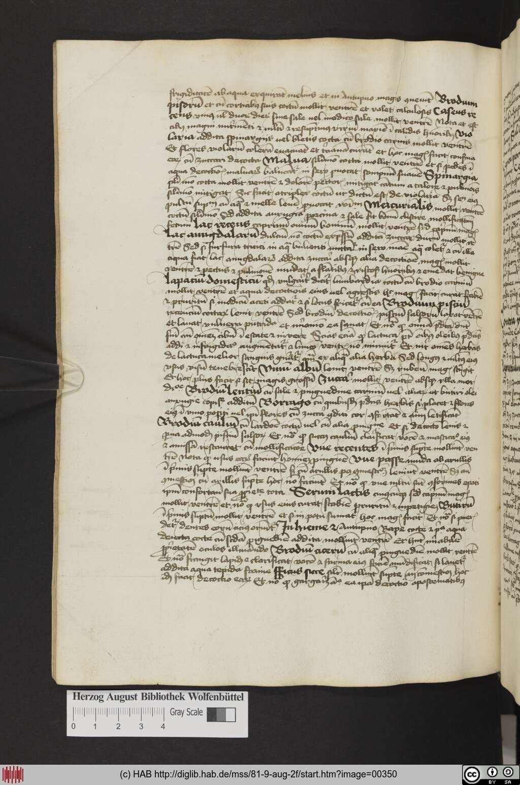 http://diglib.hab.de/mss/81-9-aug-2f/00350.jpg