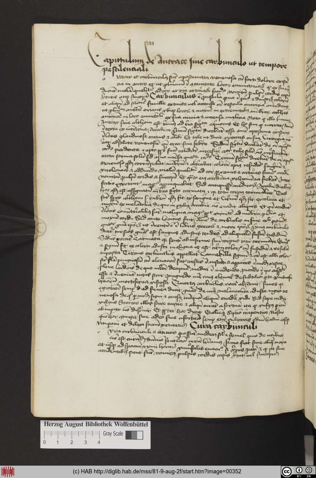 http://diglib.hab.de/mss/81-9-aug-2f/00352.jpg