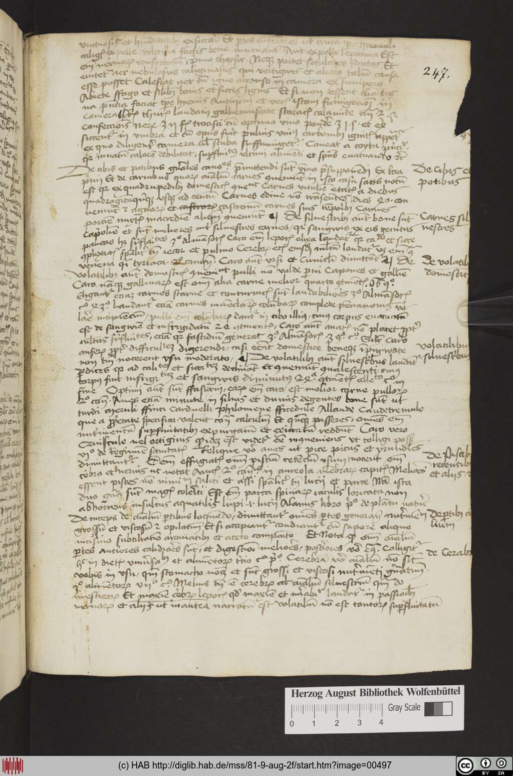 http://diglib.hab.de/mss/81-9-aug-2f/00497.jpg