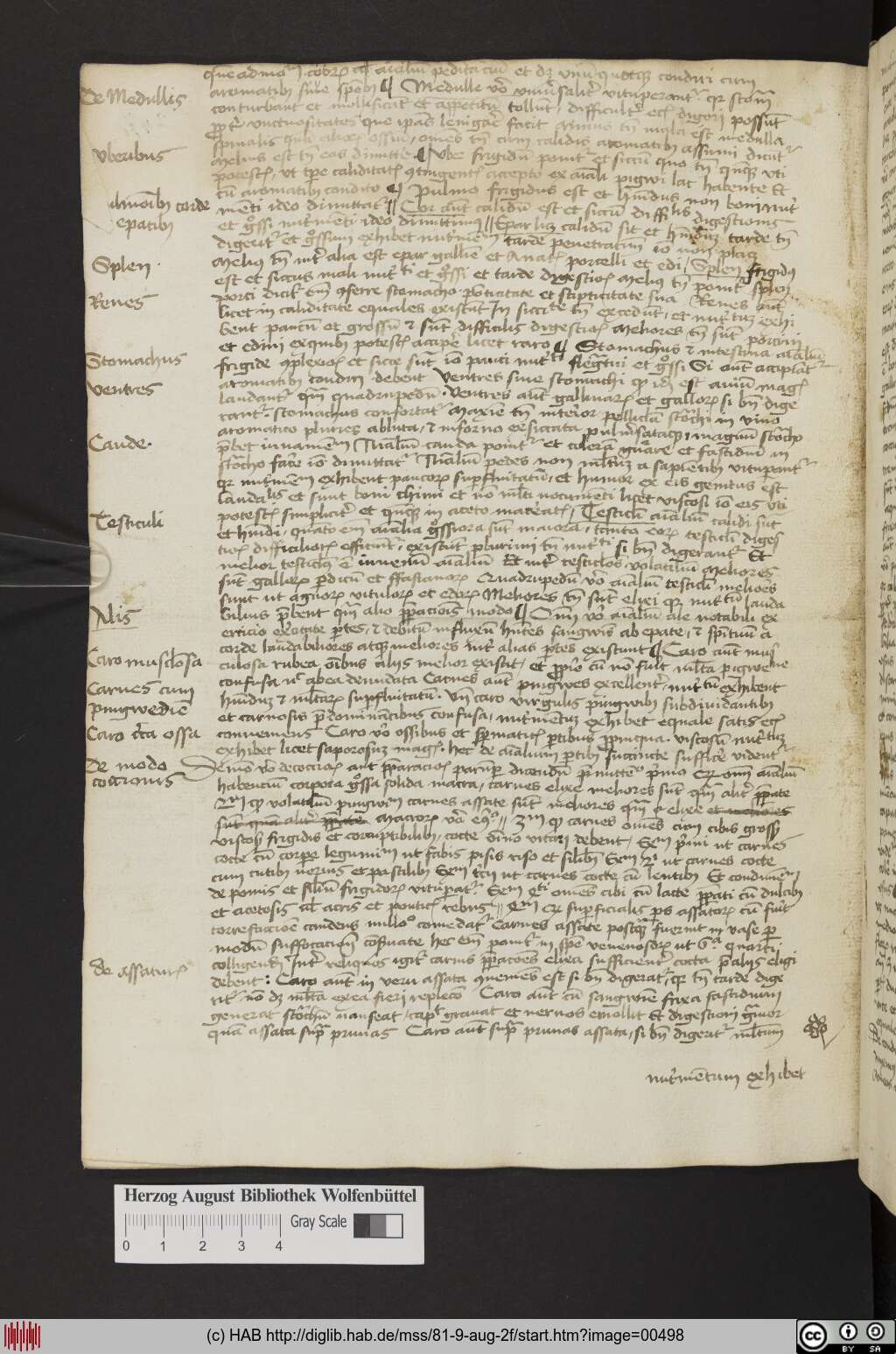 http://diglib.hab.de/mss/81-9-aug-2f/00498.jpg