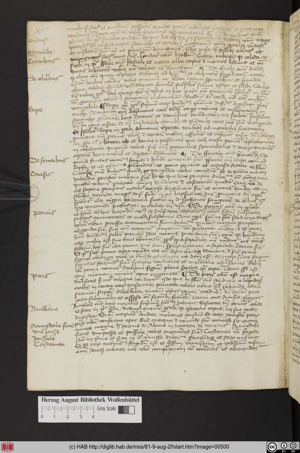 http://diglib.hab.de/mss/81-9-aug-2f/00500.jpg