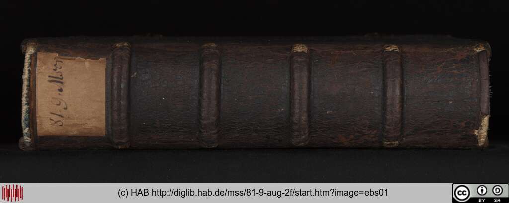 http://diglib.hab.de/mss/81-9-aug-2f/ebs01.jpg