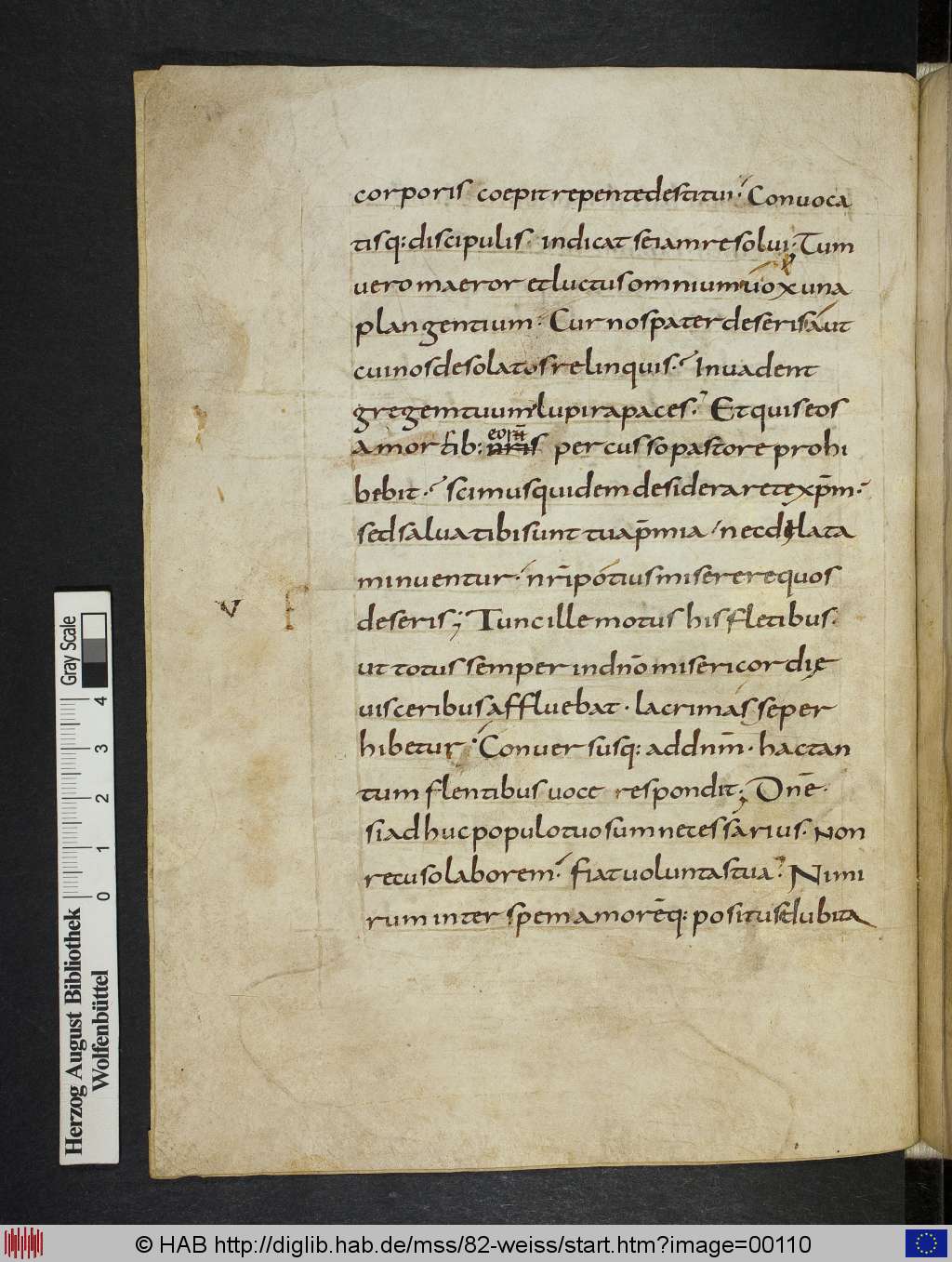 http://diglib.hab.de/mss/82-weiss/00110.jpg