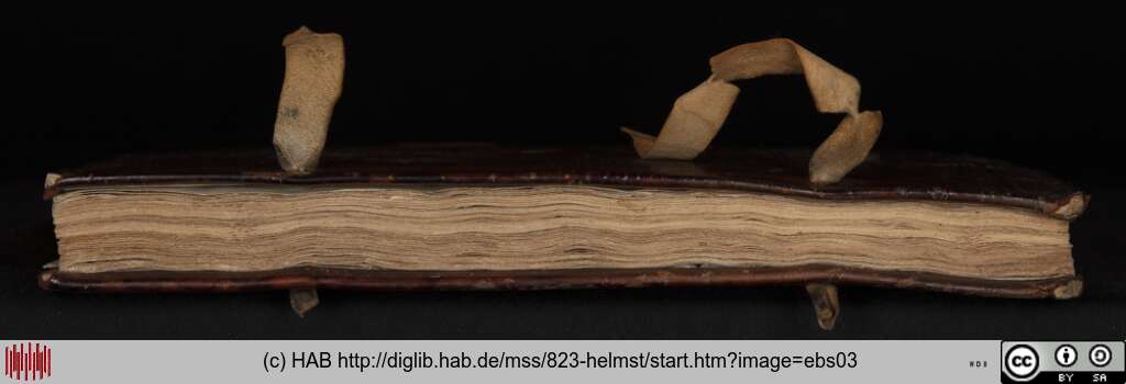 http://diglib.hab.de/mss/823-helmst/ebs03.jpg
