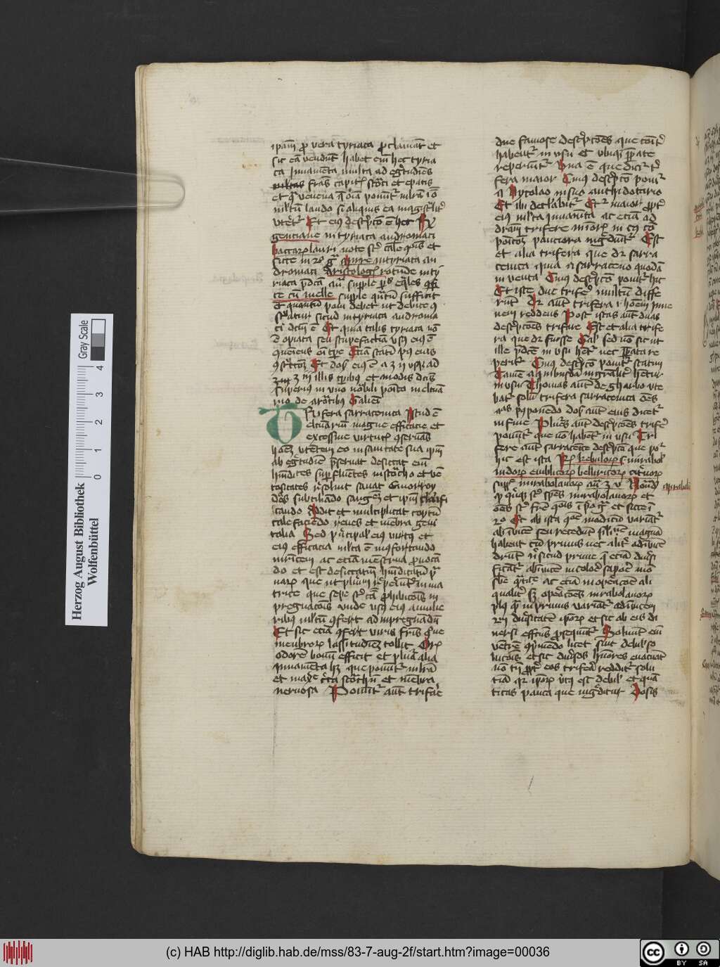http://diglib.hab.de/mss/83-7-aug-2f/00036.jpg