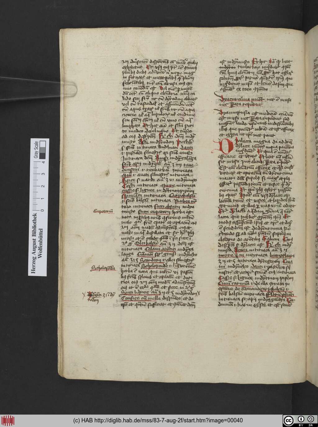 http://diglib.hab.de/mss/83-7-aug-2f/00040.jpg