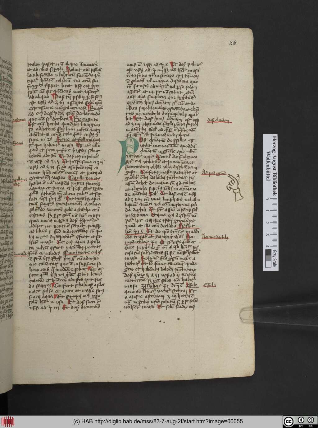 http://diglib.hab.de/mss/83-7-aug-2f/00055.jpg