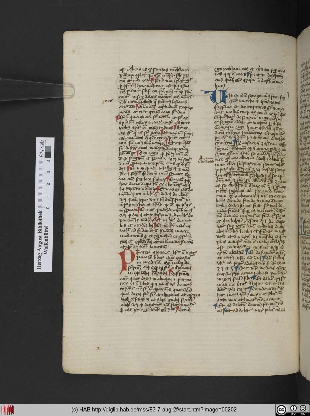 http://diglib.hab.de/mss/83-7-aug-2f/00202.jpg