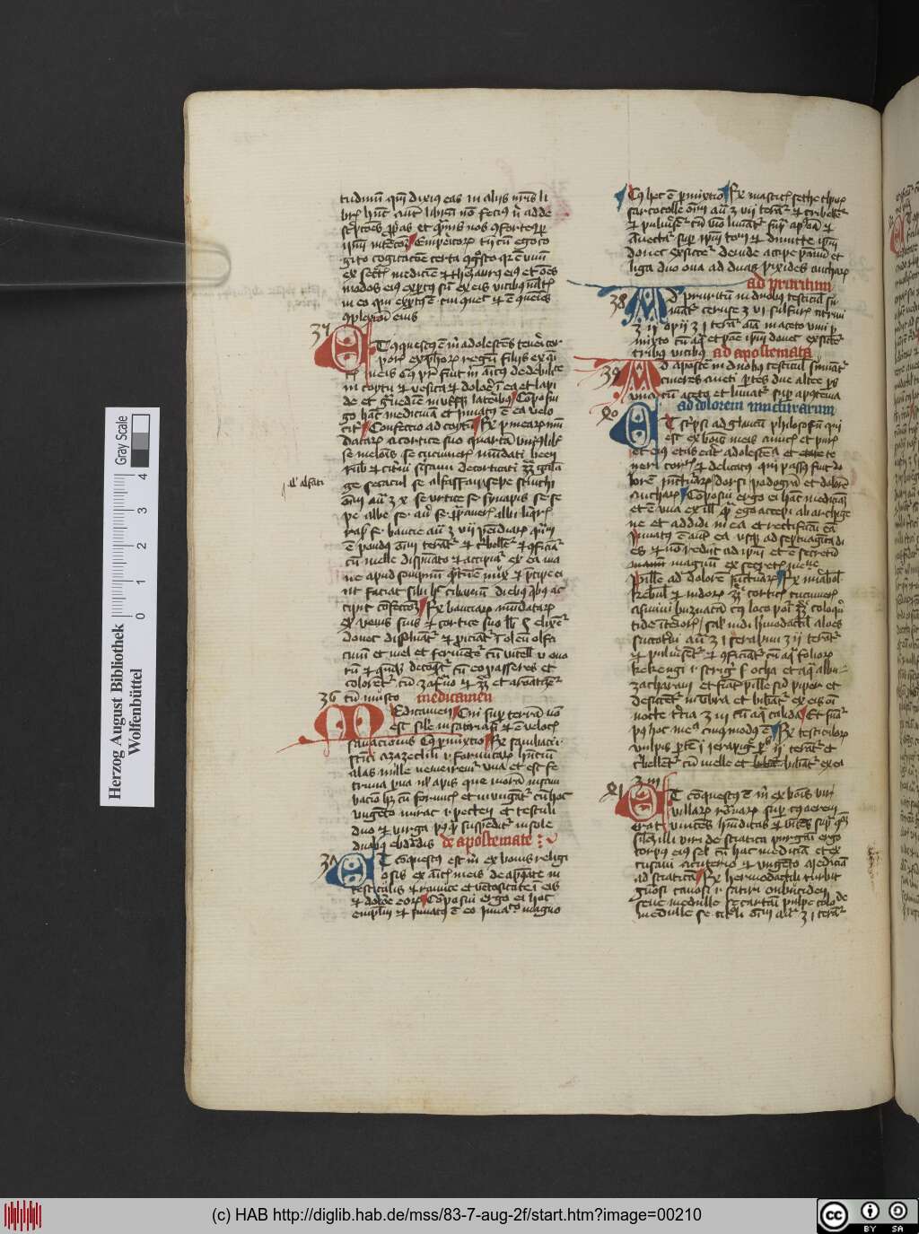 http://diglib.hab.de/mss/83-7-aug-2f/00210.jpg