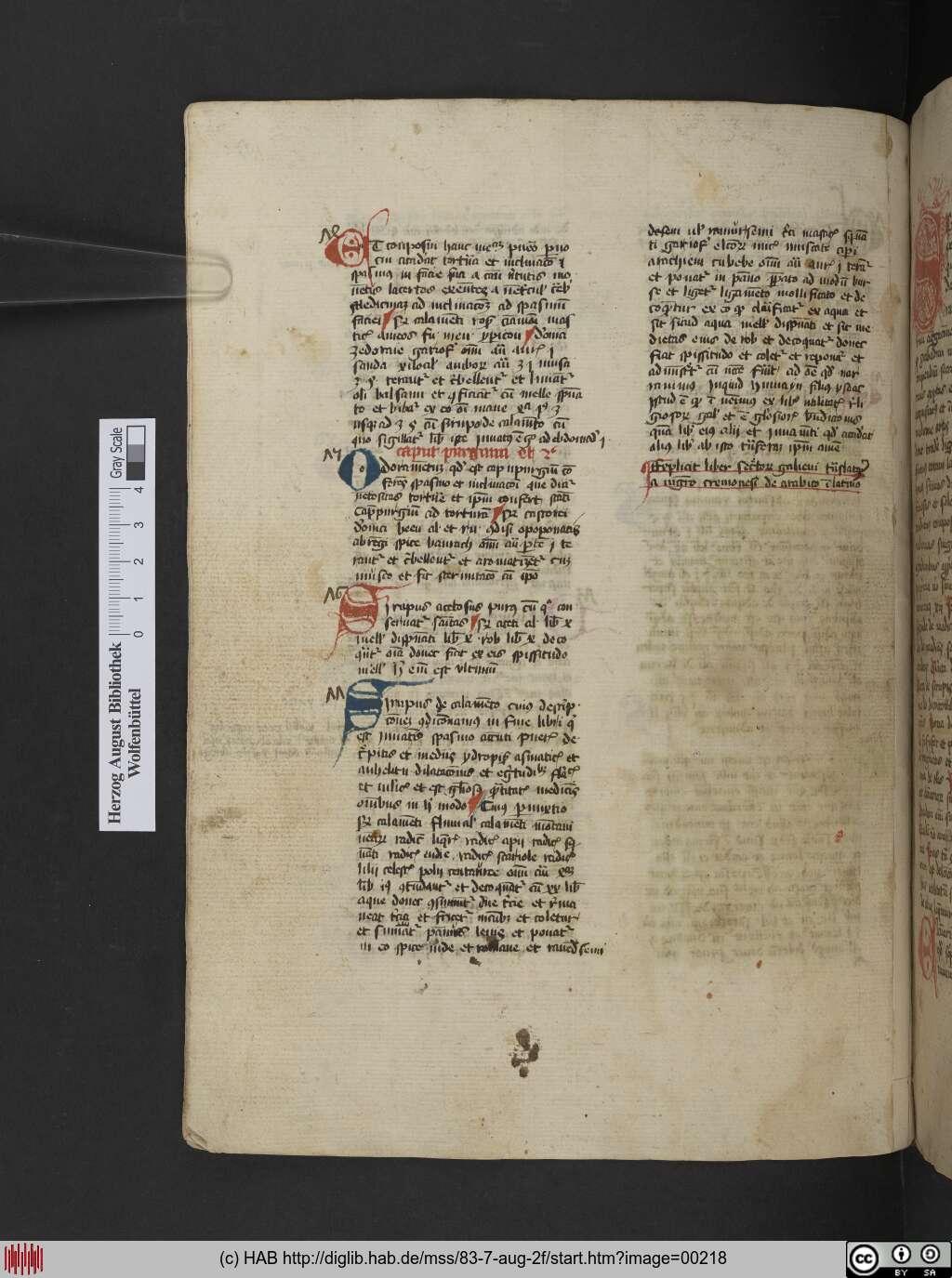 http://diglib.hab.de/mss/83-7-aug-2f/00218.jpg
