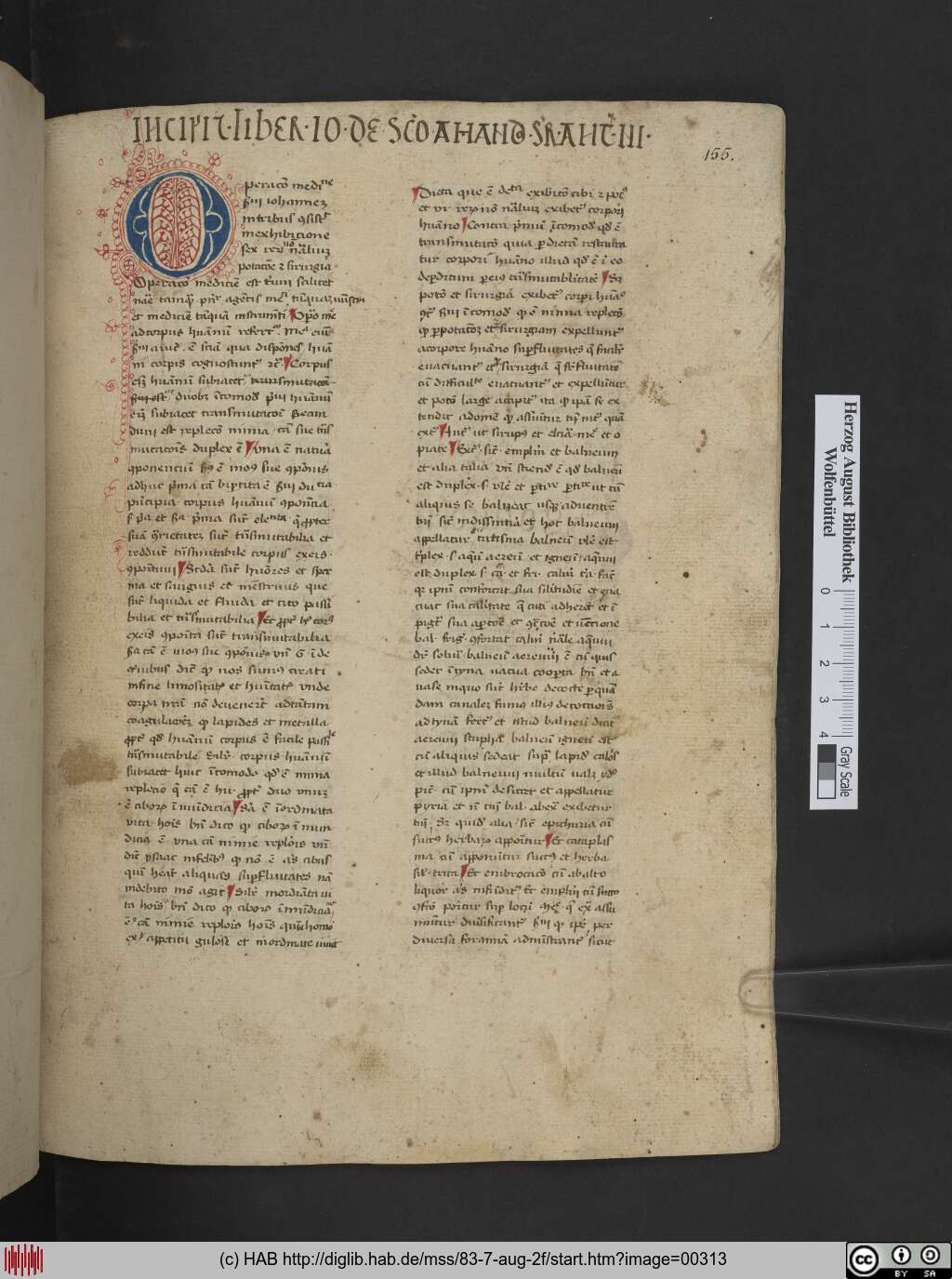 http://diglib.hab.de/mss/83-7-aug-2f/00313.jpg