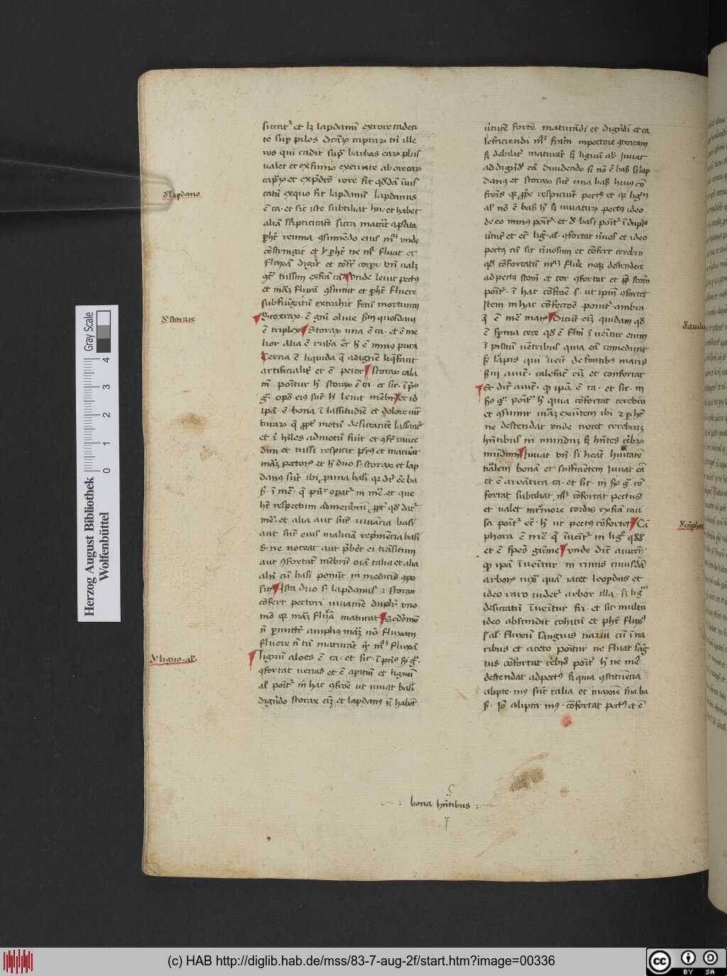 http://diglib.hab.de/mss/83-7-aug-2f/00336.jpg