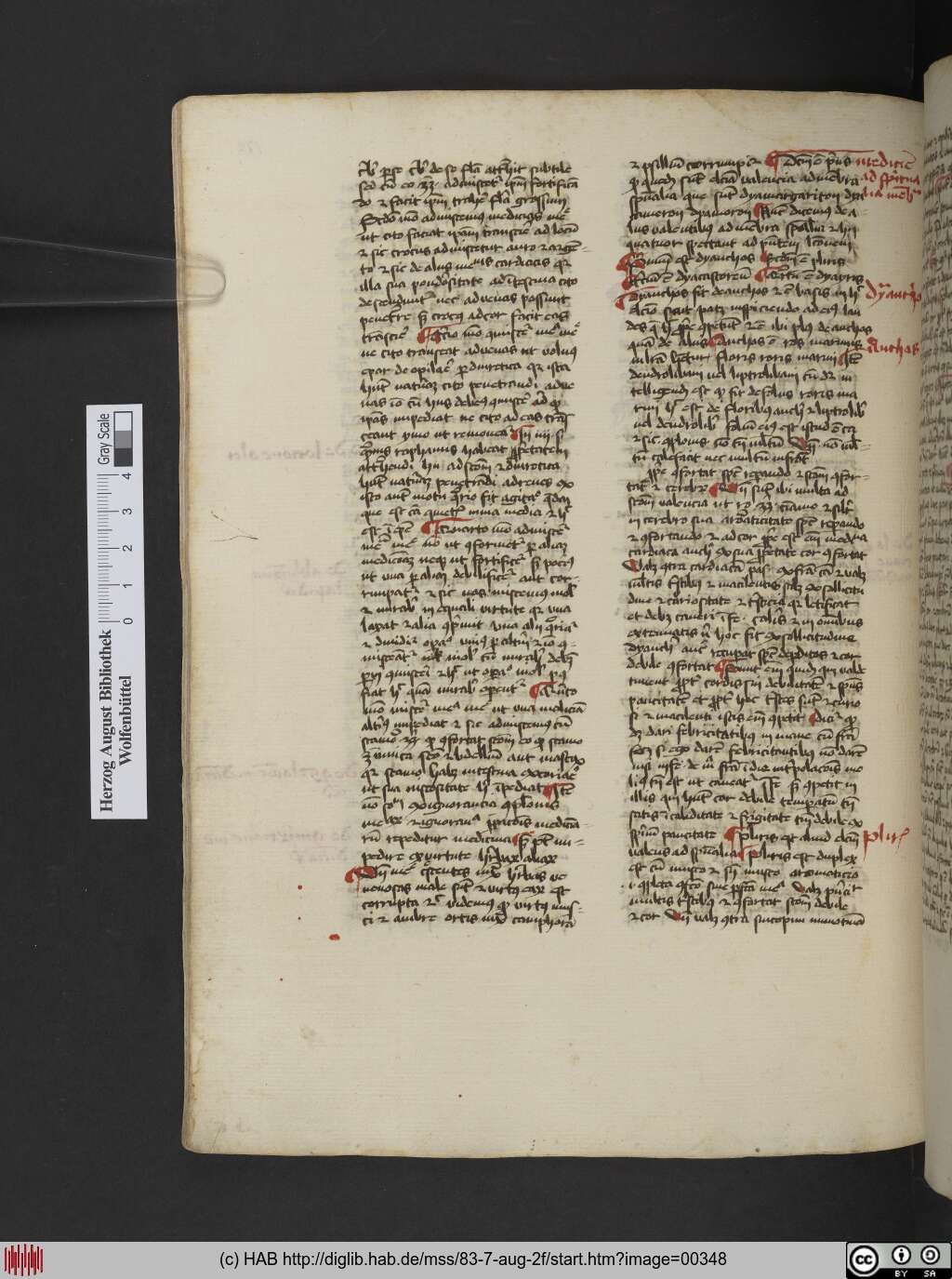 http://diglib.hab.de/mss/83-7-aug-2f/00348.jpg