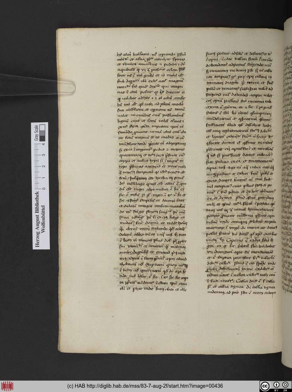http://diglib.hab.de/mss/83-7-aug-2f/00436.jpg