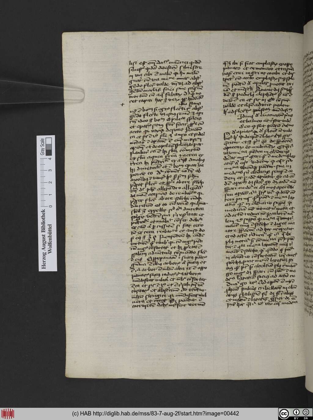 http://diglib.hab.de/mss/83-7-aug-2f/00442.jpg