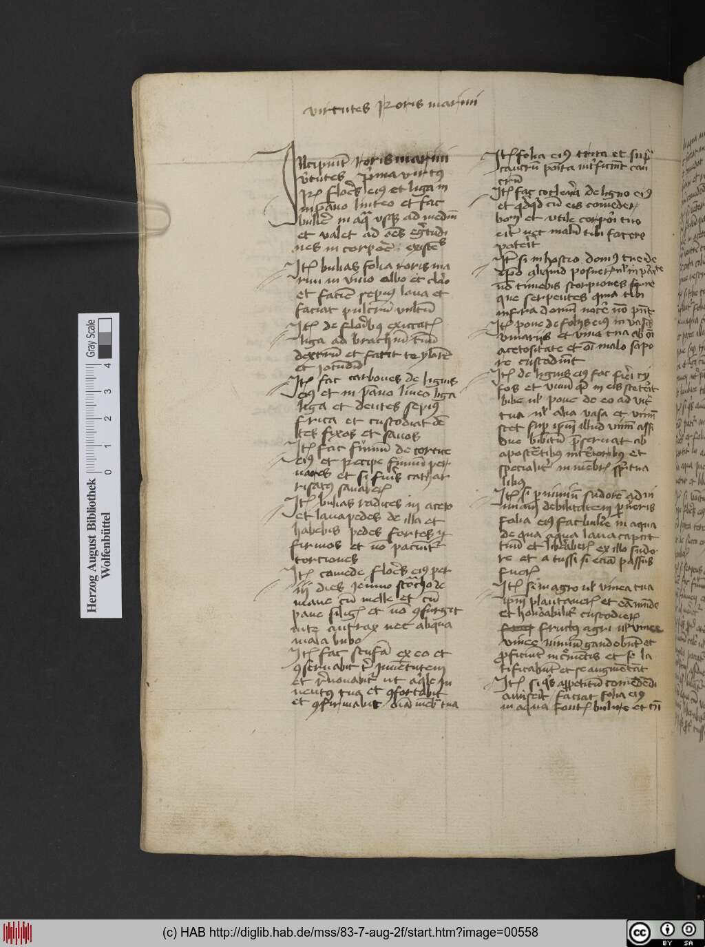 http://diglib.hab.de/mss/83-7-aug-2f/00558.jpg