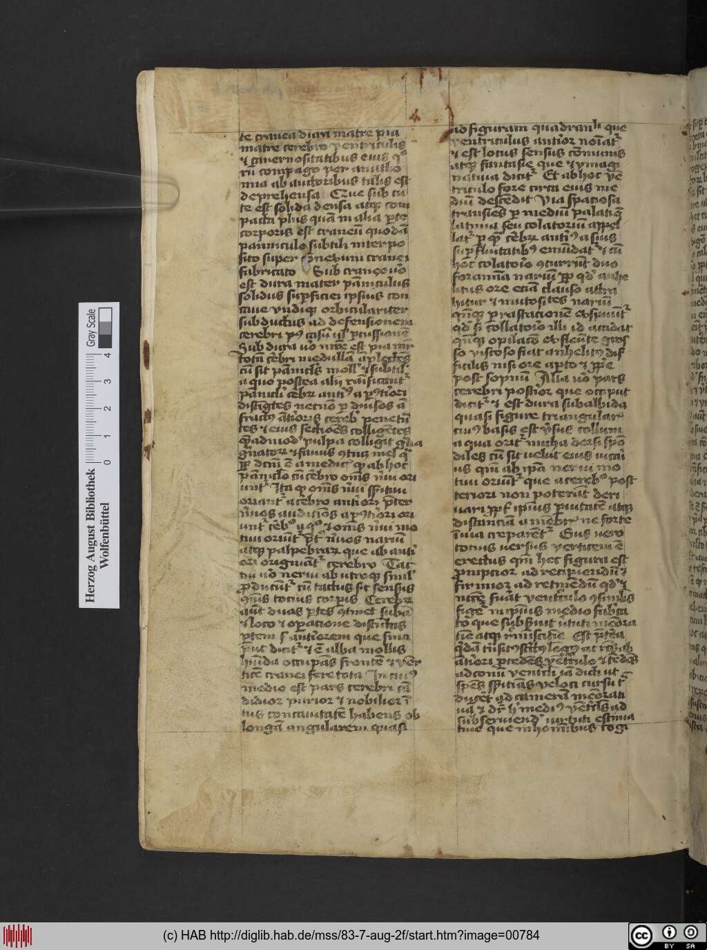 http://diglib.hab.de/mss/83-7-aug-2f/00784.jpg