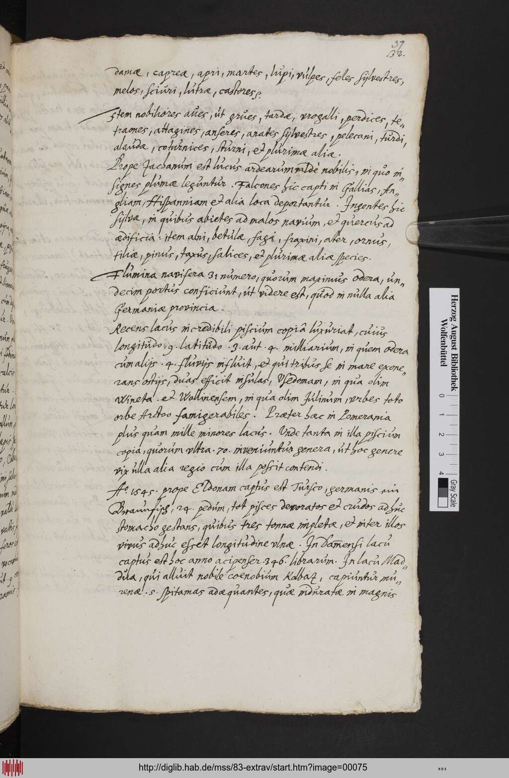 http://diglib.hab.de/mss/83-extrav/00075.jpg