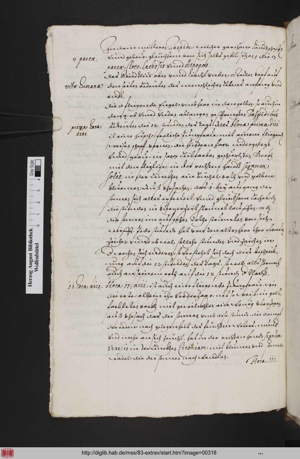 http://diglib.hab.de/mss/83-extrav/00318.jpg