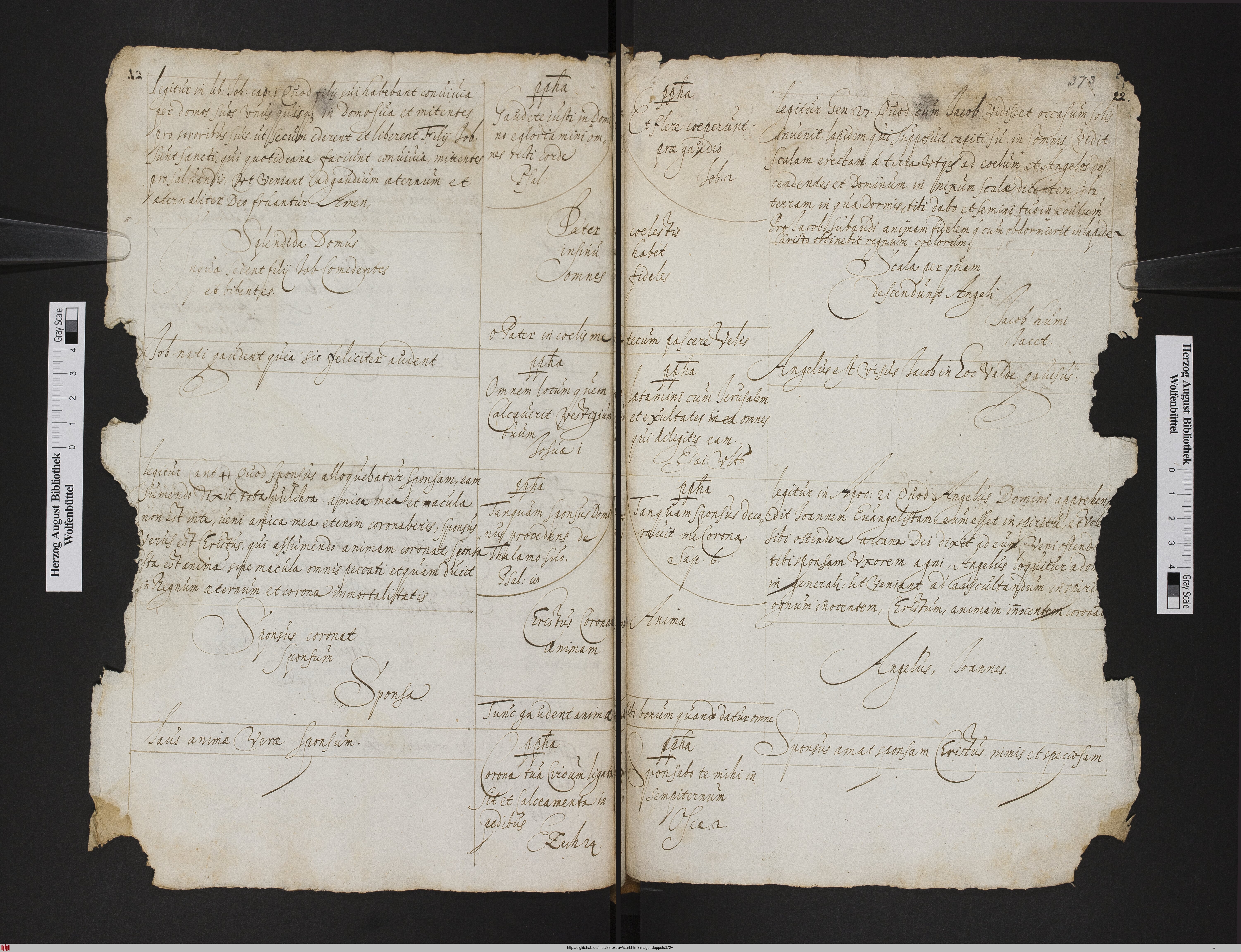 http://diglib.hab.de/mss/83-extrav/max/doppels372v.jpg