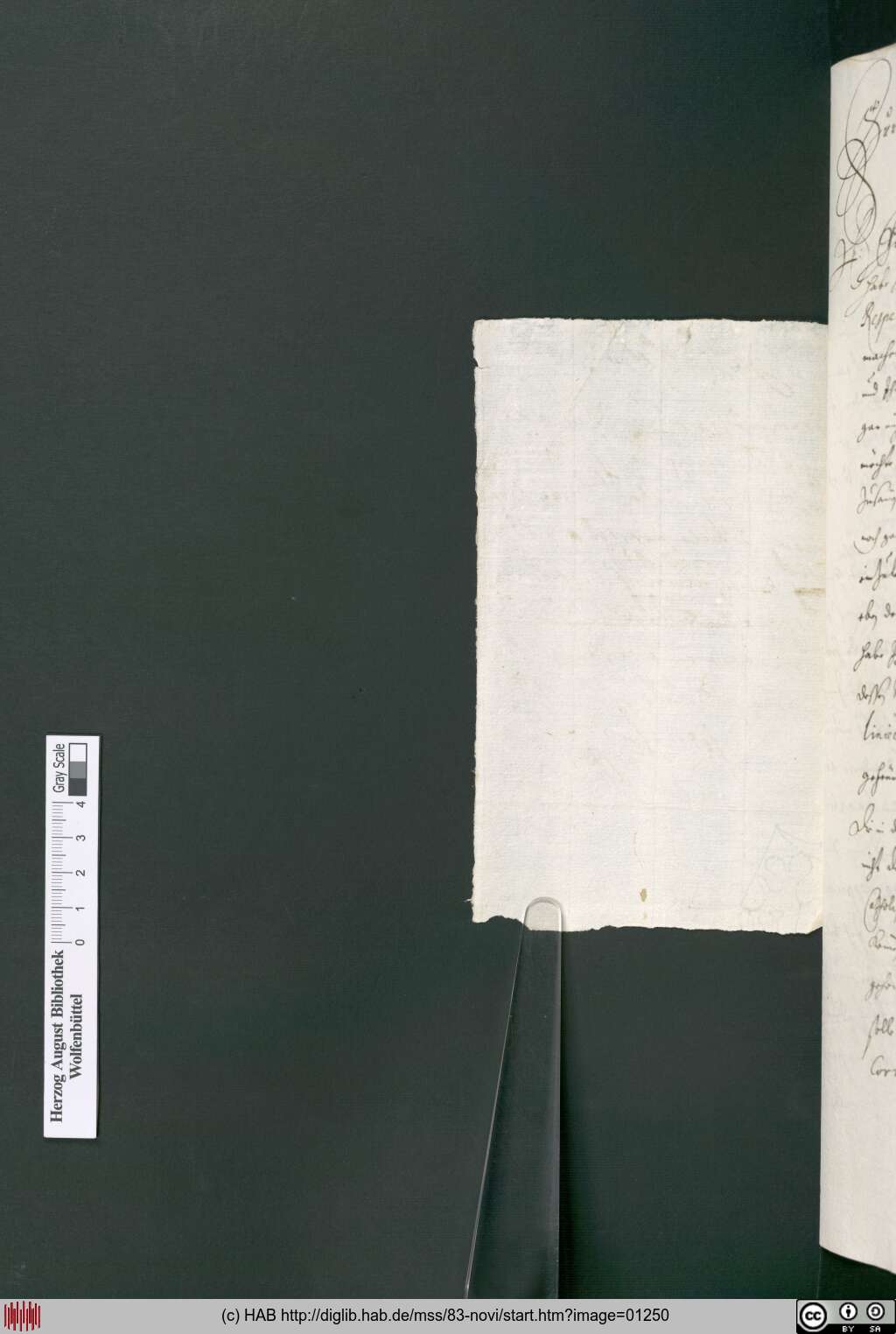 http://diglib.hab.de/mss/83-novi/01250.jpg