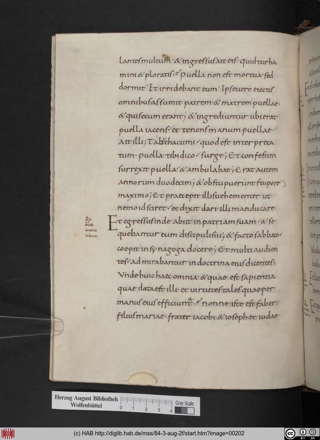 http://diglib.hab.de/mss/84-3-aug-2f/00202.jpg