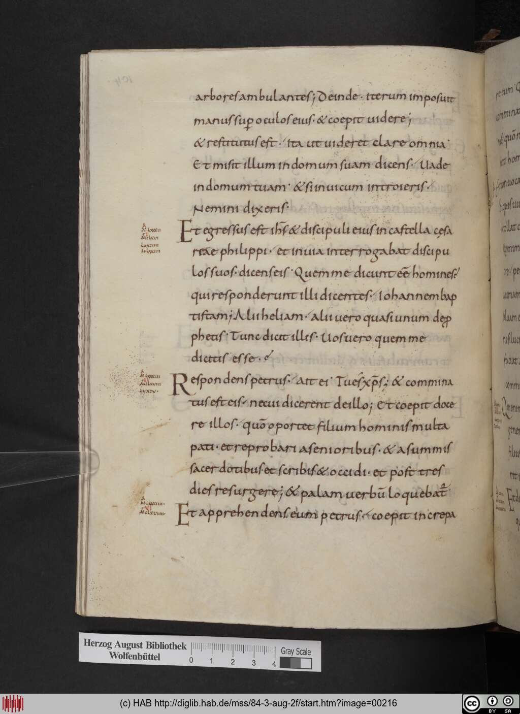 http://diglib.hab.de/mss/84-3-aug-2f/00216.jpg