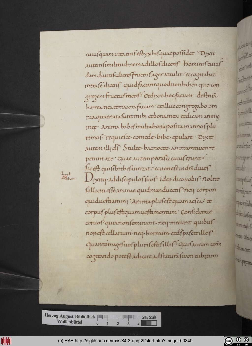 http://diglib.hab.de/mss/84-3-aug-2f/00340.jpg