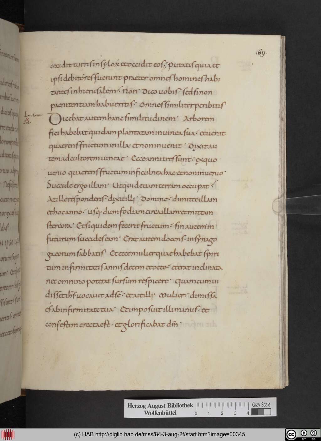 http://diglib.hab.de/mss/84-3-aug-2f/00345.jpg
