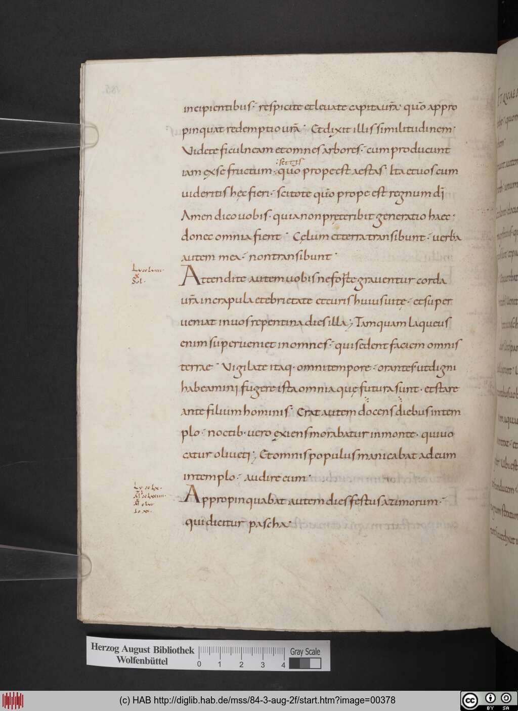 http://diglib.hab.de/mss/84-3-aug-2f/00378.jpg