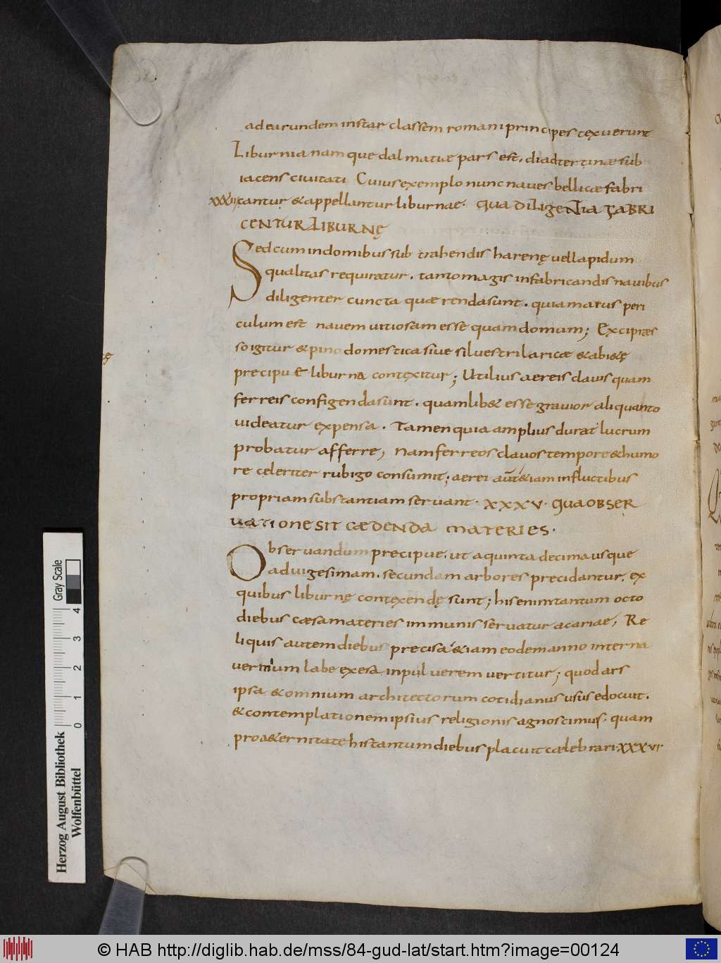 http://diglib.hab.de/mss/84-gud-lat/00124.jpg