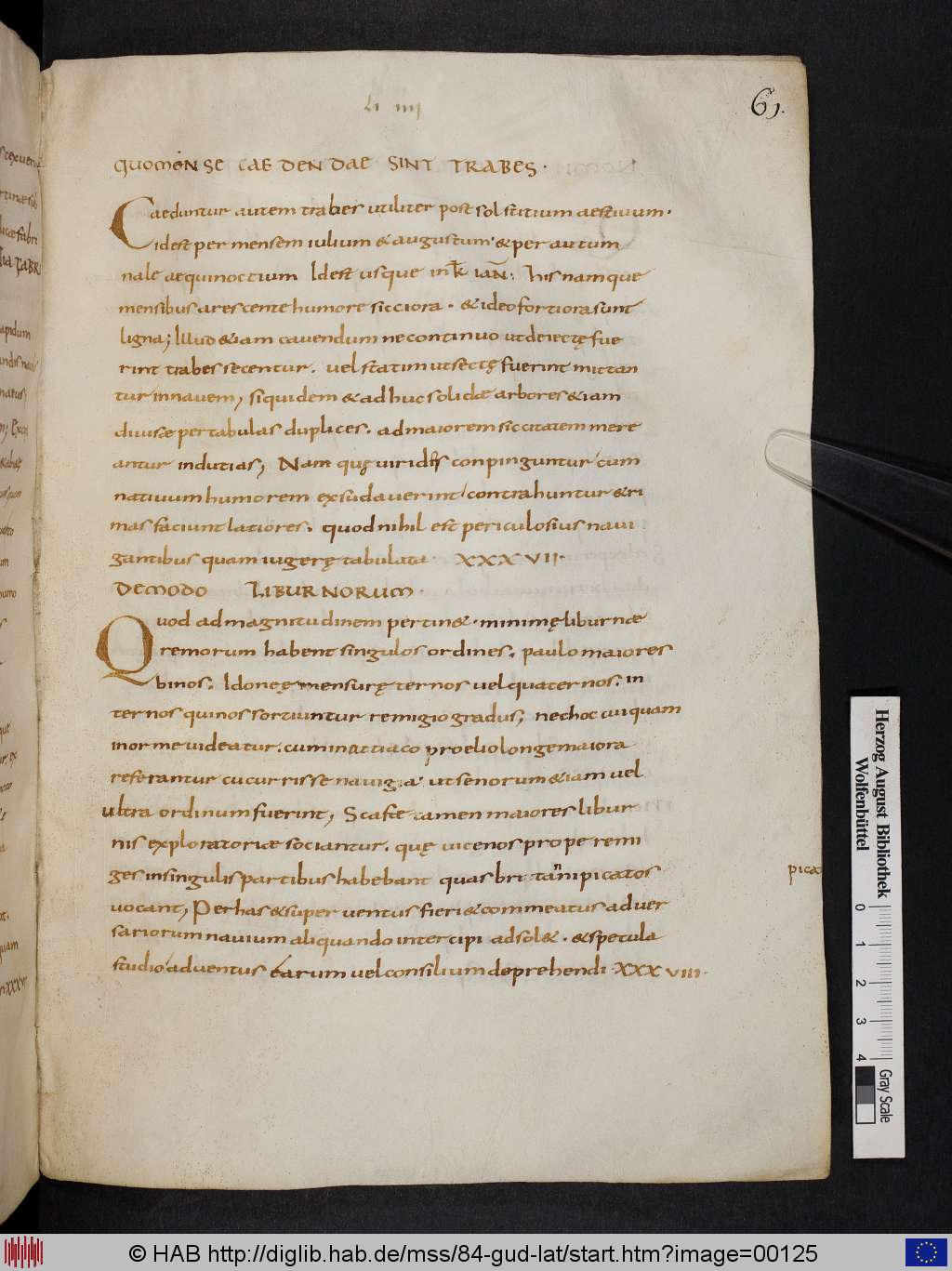 http://diglib.hab.de/mss/84-gud-lat/00125.jpg