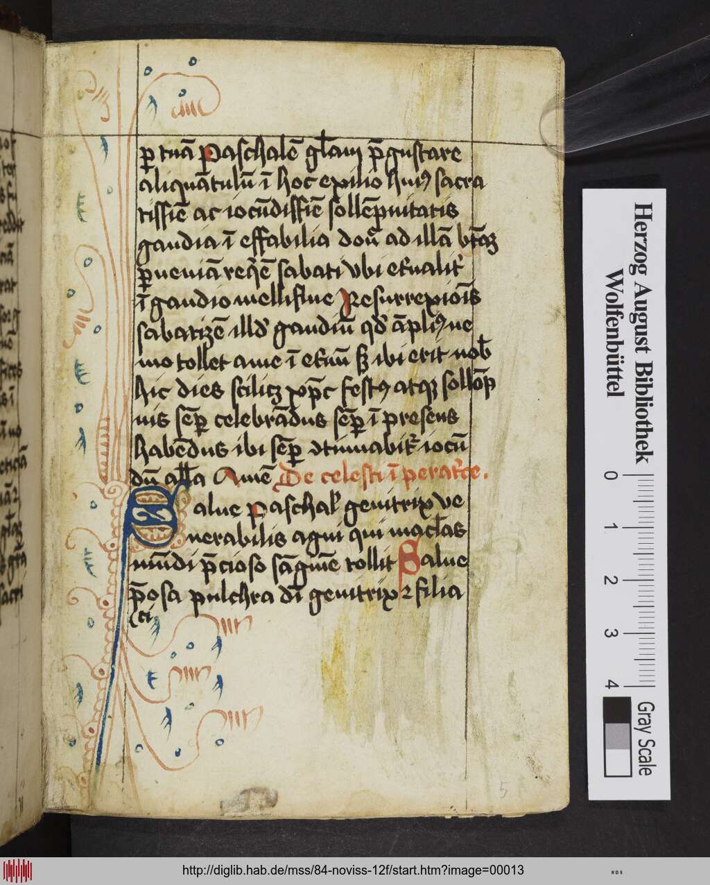 http://diglib.hab.de/mss/84-noviss-12f/00013.jpg