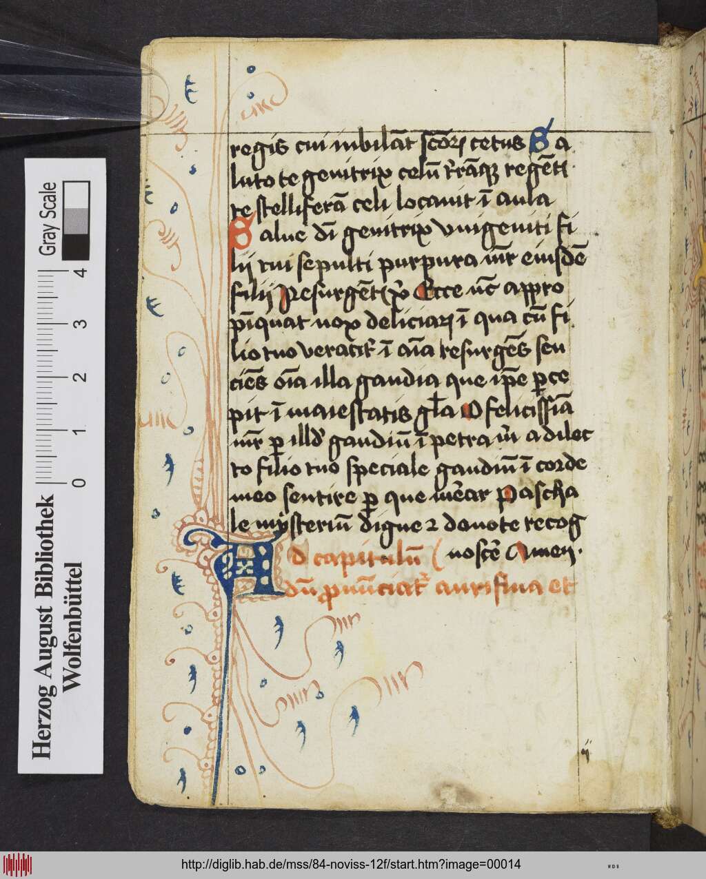 http://diglib.hab.de/mss/84-noviss-12f/00014.jpg