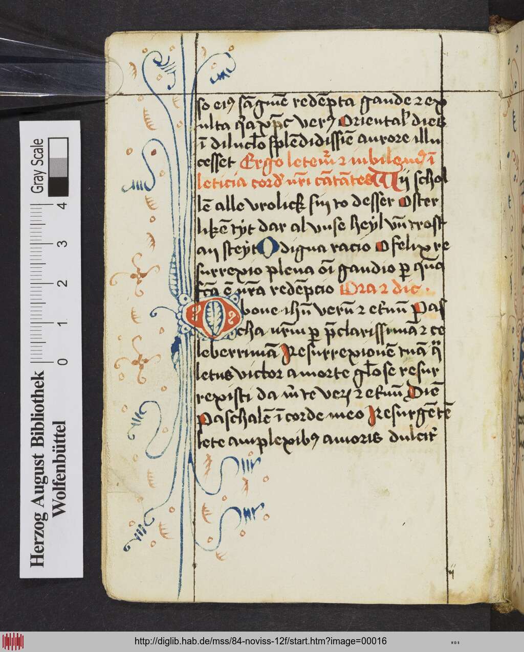 http://diglib.hab.de/mss/84-noviss-12f/00016.jpg