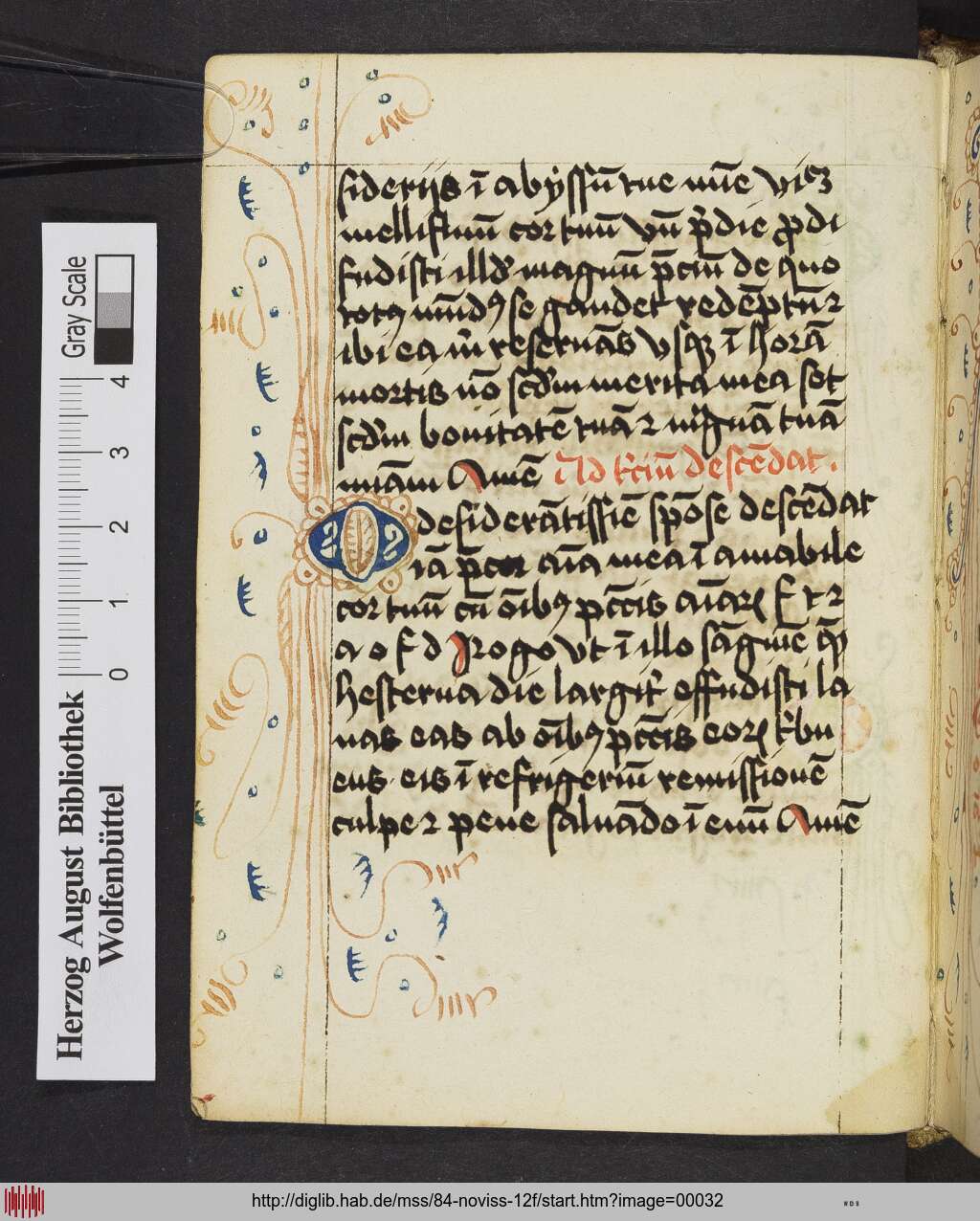 http://diglib.hab.de/mss/84-noviss-12f/00032.jpg