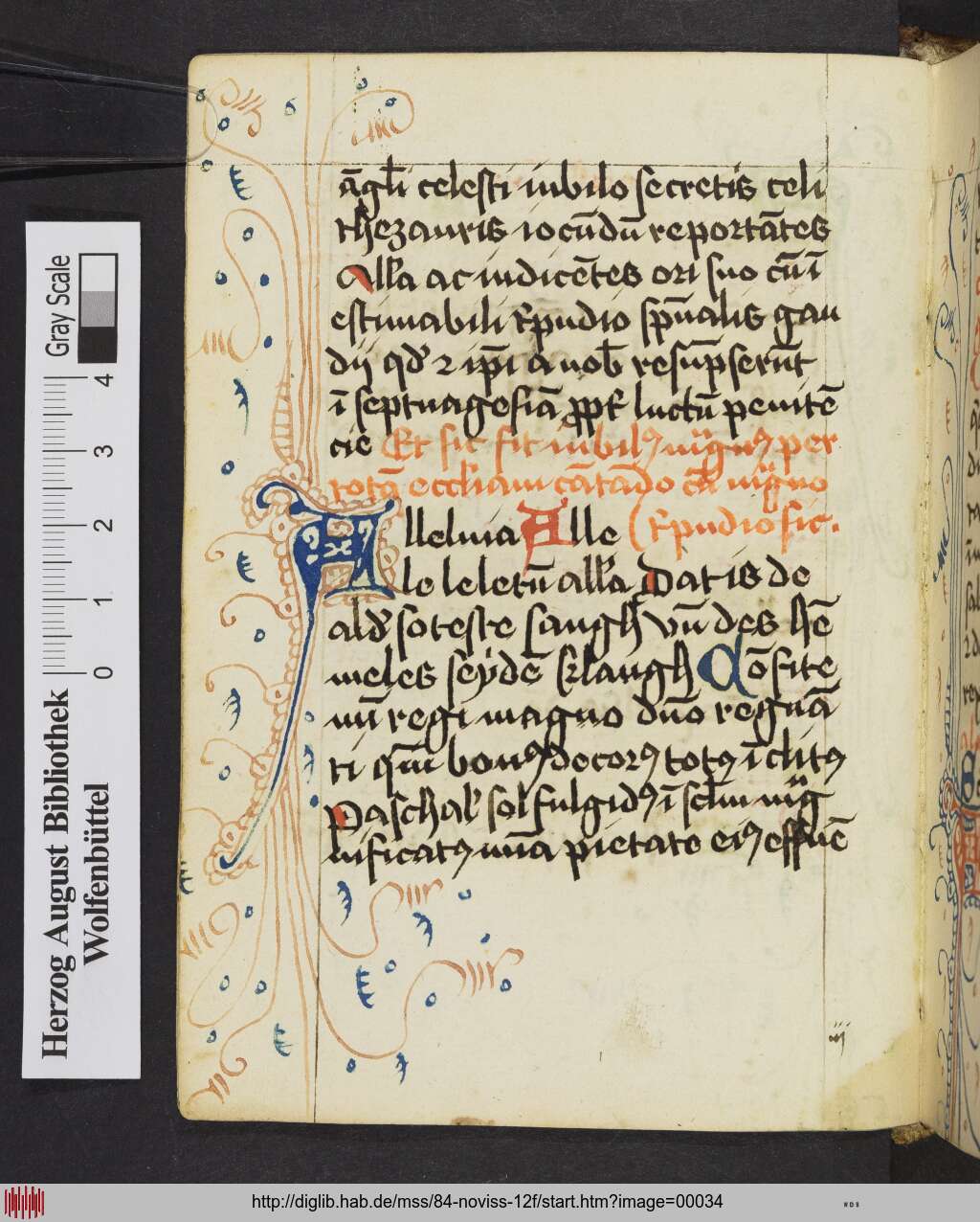 http://diglib.hab.de/mss/84-noviss-12f/00034.jpg
