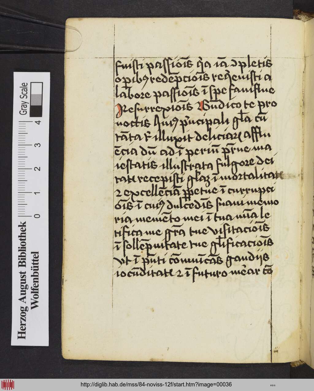 http://diglib.hab.de/mss/84-noviss-12f/00036.jpg