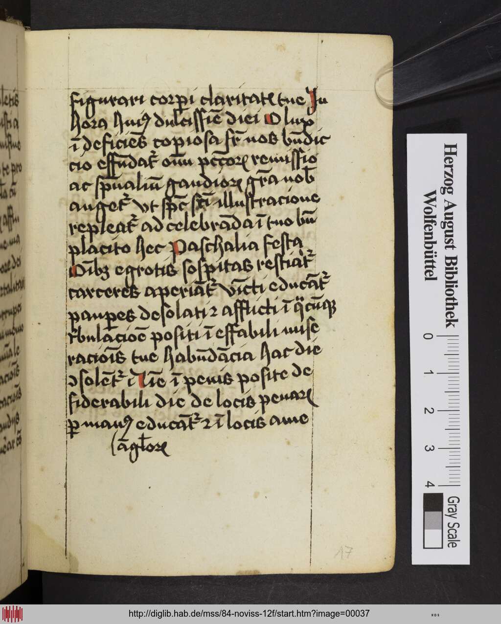 http://diglib.hab.de/mss/84-noviss-12f/00037.jpg
