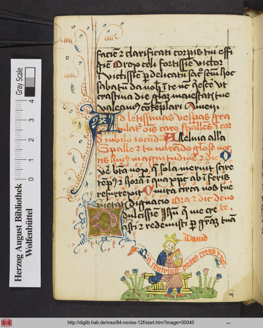 http://diglib.hab.de/mss/84-noviss-12f/00040.jpg