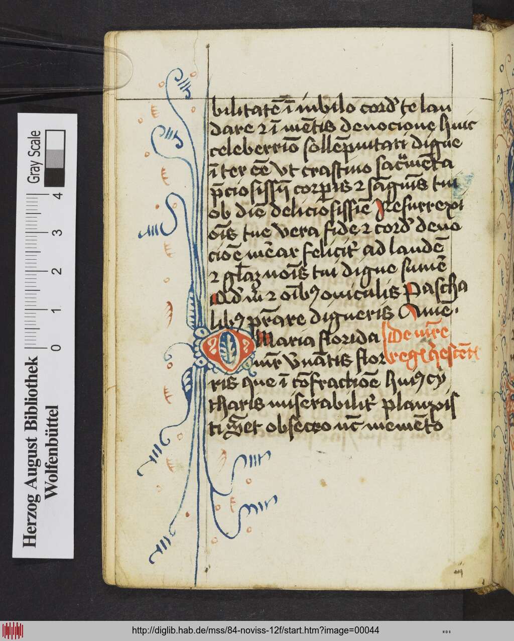 http://diglib.hab.de/mss/84-noviss-12f/00044.jpg