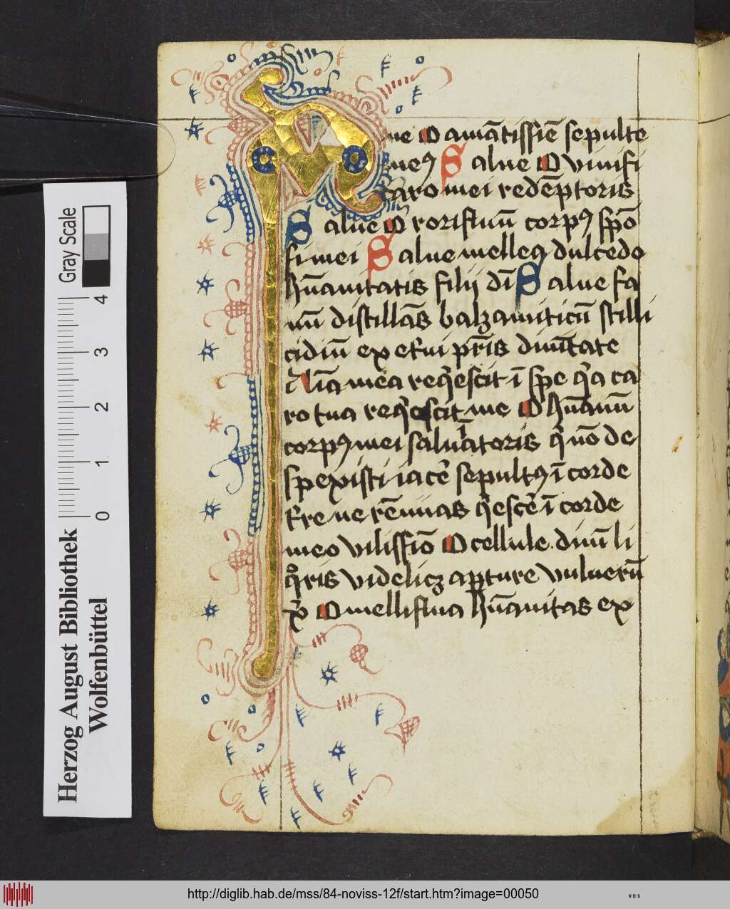 http://diglib.hab.de/mss/84-noviss-12f/00050.jpg