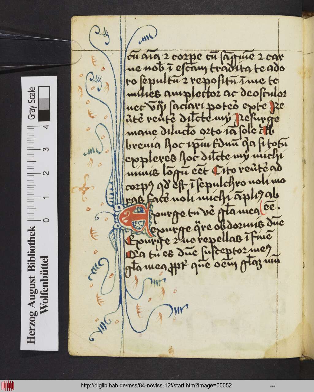 http://diglib.hab.de/mss/84-noviss-12f/00052.jpg