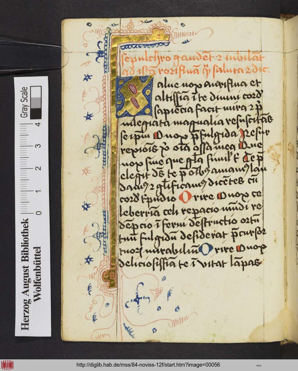 http://diglib.hab.de/mss/84-noviss-12f/00056.jpg
