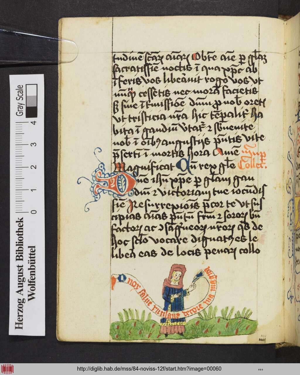http://diglib.hab.de/mss/84-noviss-12f/00060.jpg